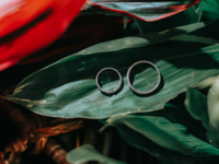 Wedding rings on leaves