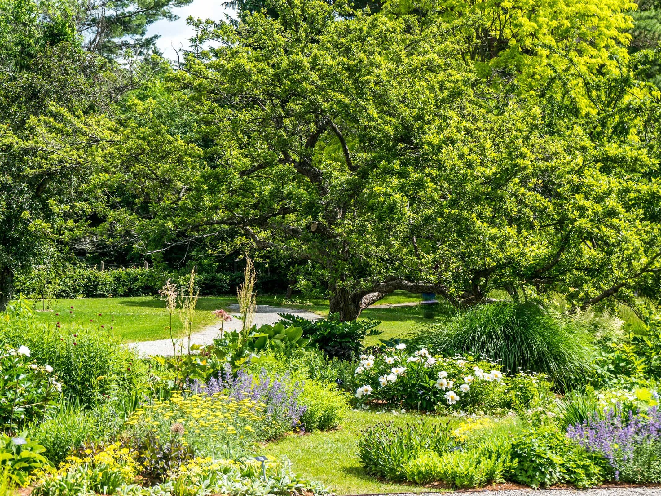 Picture of Berkshire Botanical Garden