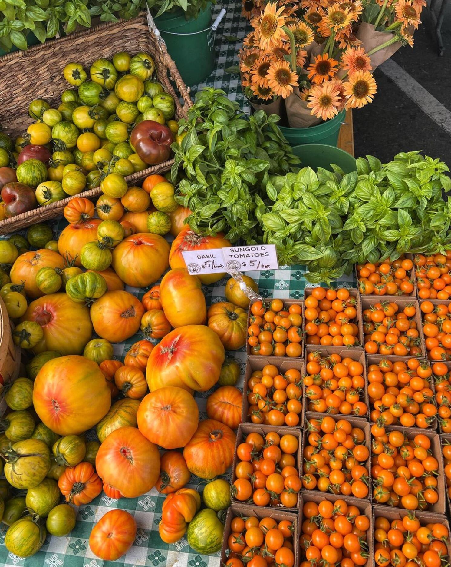 Picture of Visit the best Farmers Market in the world