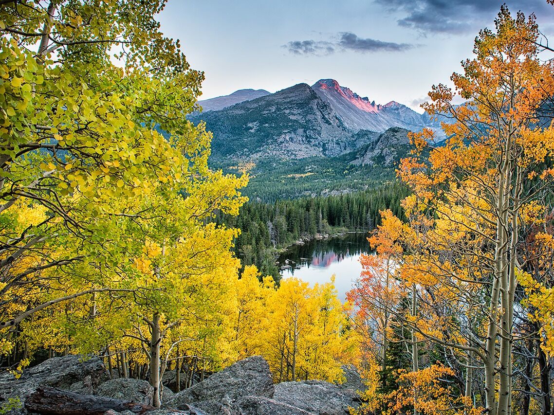 Picture of Yellow Wood Guiding: Estes Park Tours | Wildlife, Nature, and Photography