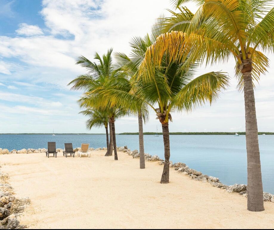 Picture of Dolphin Point Villas