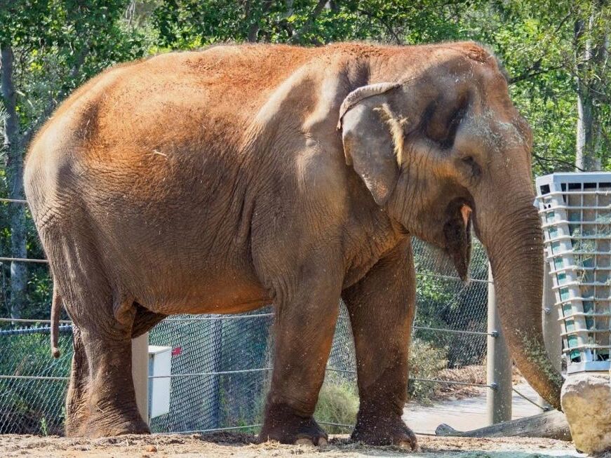Picture of San Diego Zoo