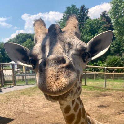 Picture of Chattanooga Zoo