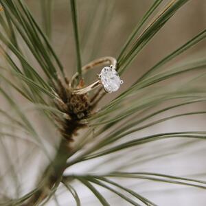 Gallery Photo 21