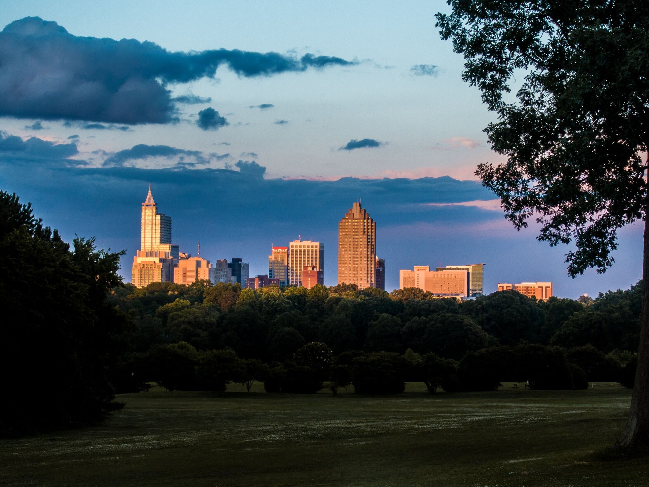Picture of Dorothea Dix Park