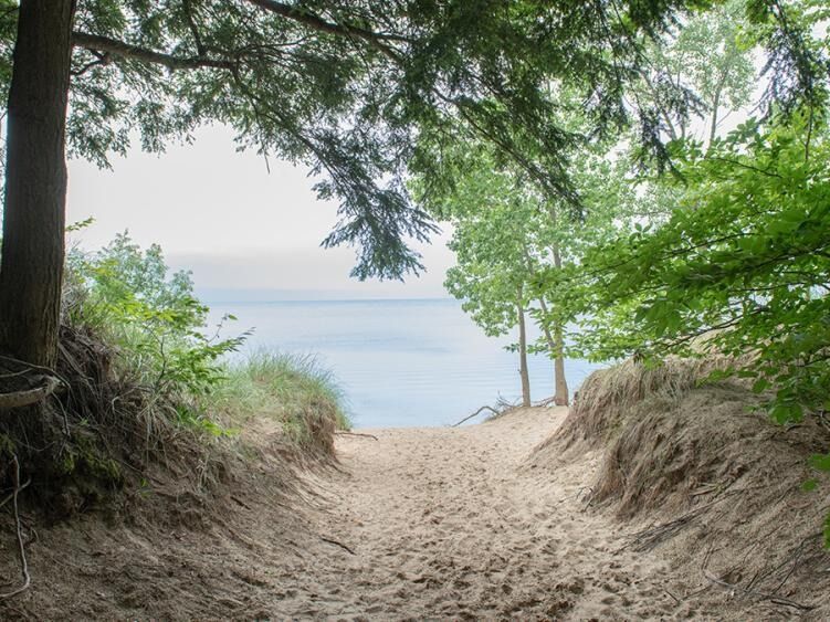 Picture of Saugatuck Dunes State Park