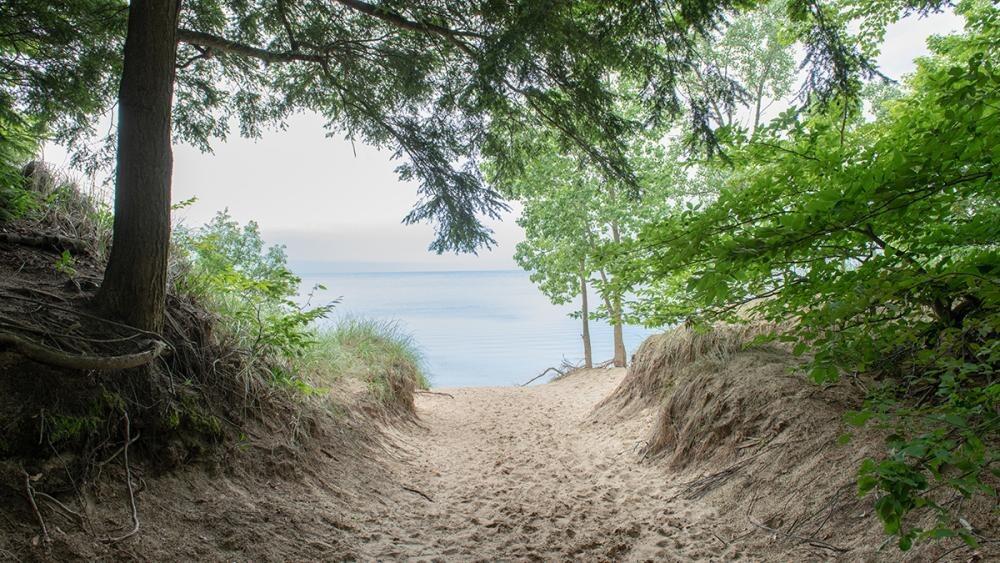 Picture of Saugatuck Dunes State Park