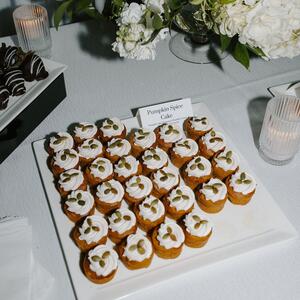 Gallery Photo 219