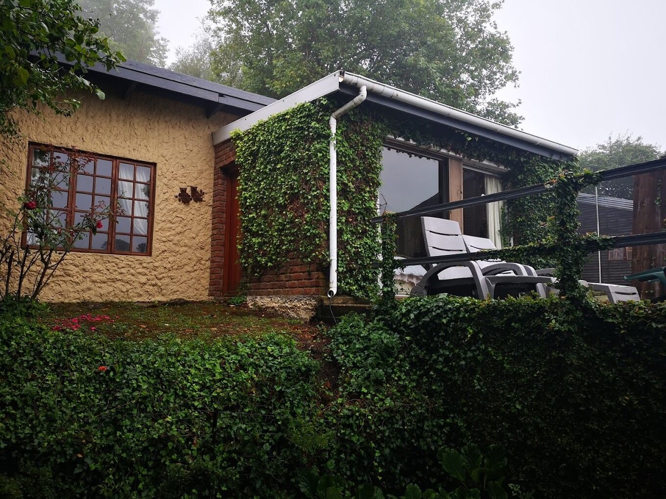 Picture of Ilifu Self Catering Cottages in Hogsback