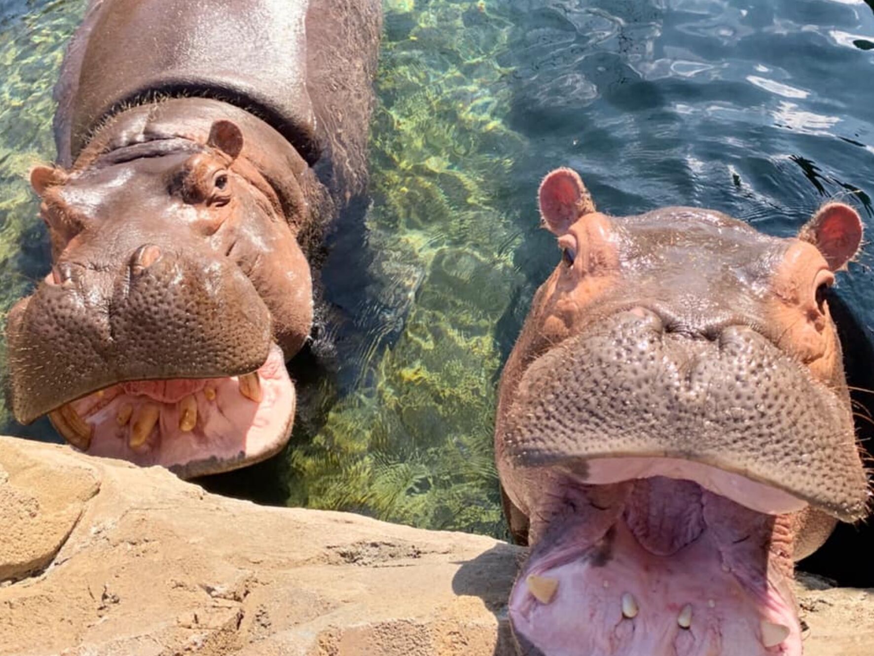 Picture of Cincinnati Zoo & Botanical Garden