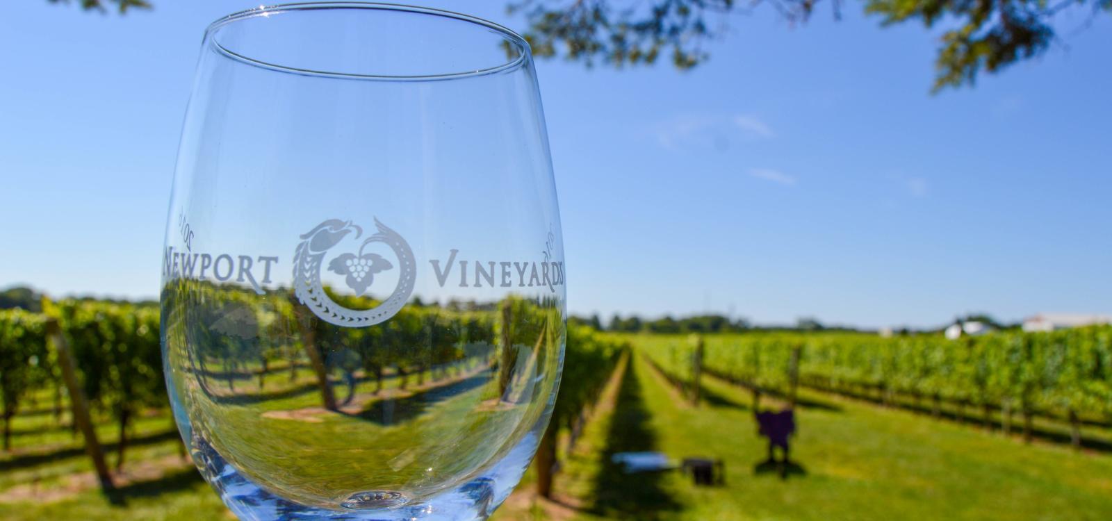 Picture of Newport Vineyards