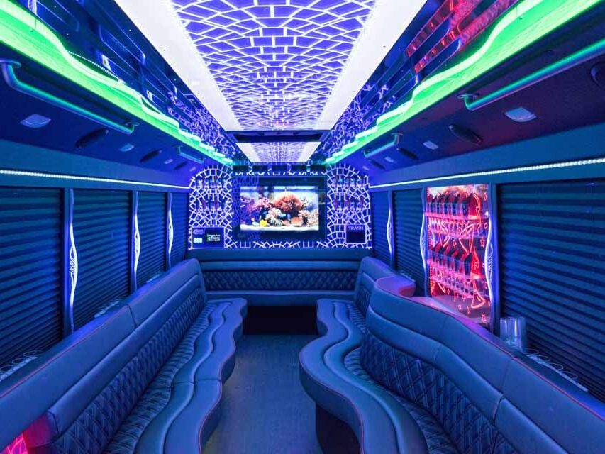 Picture of Rockstarz Limousine & Party Bus - Ann Arbor