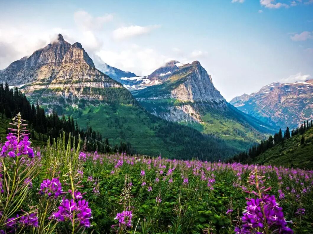 Picture of Glacier National Park