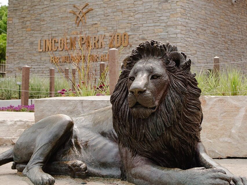 Picture of Lincoln Park Zoo