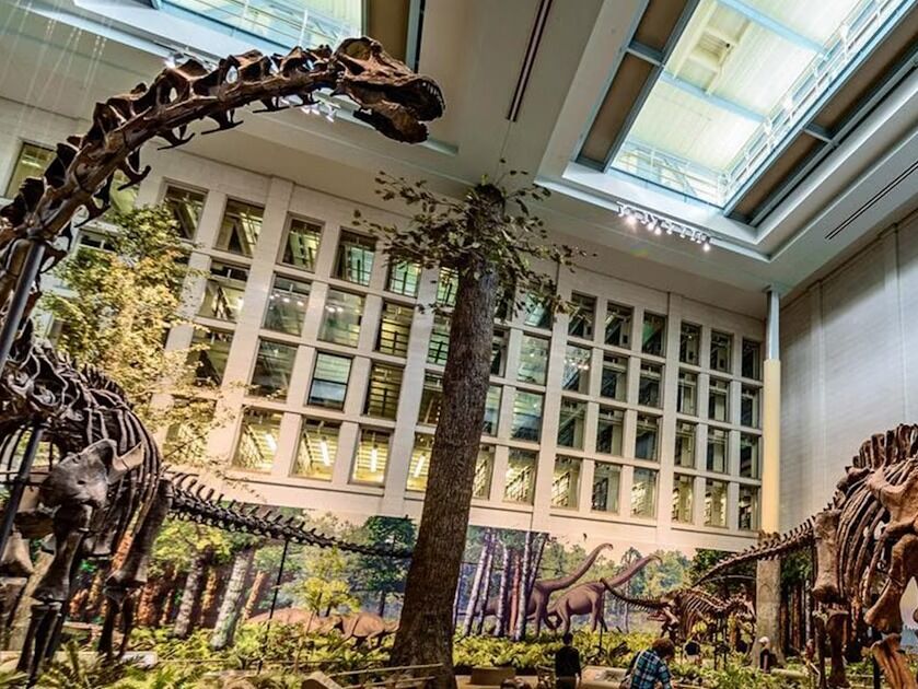 Picture of Carnegie Museum of Natural History