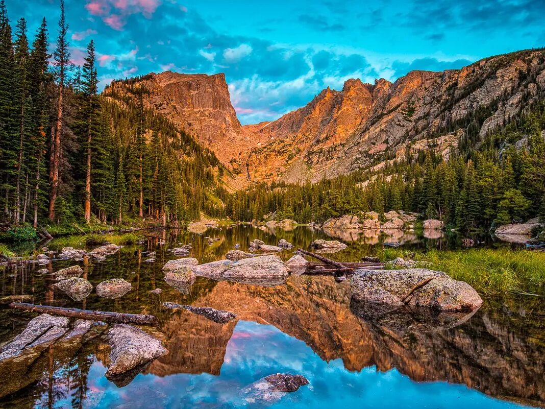 Picture of Yellow Wood Guiding: Estes Park Tours | Wildlife, Nature, and Photography