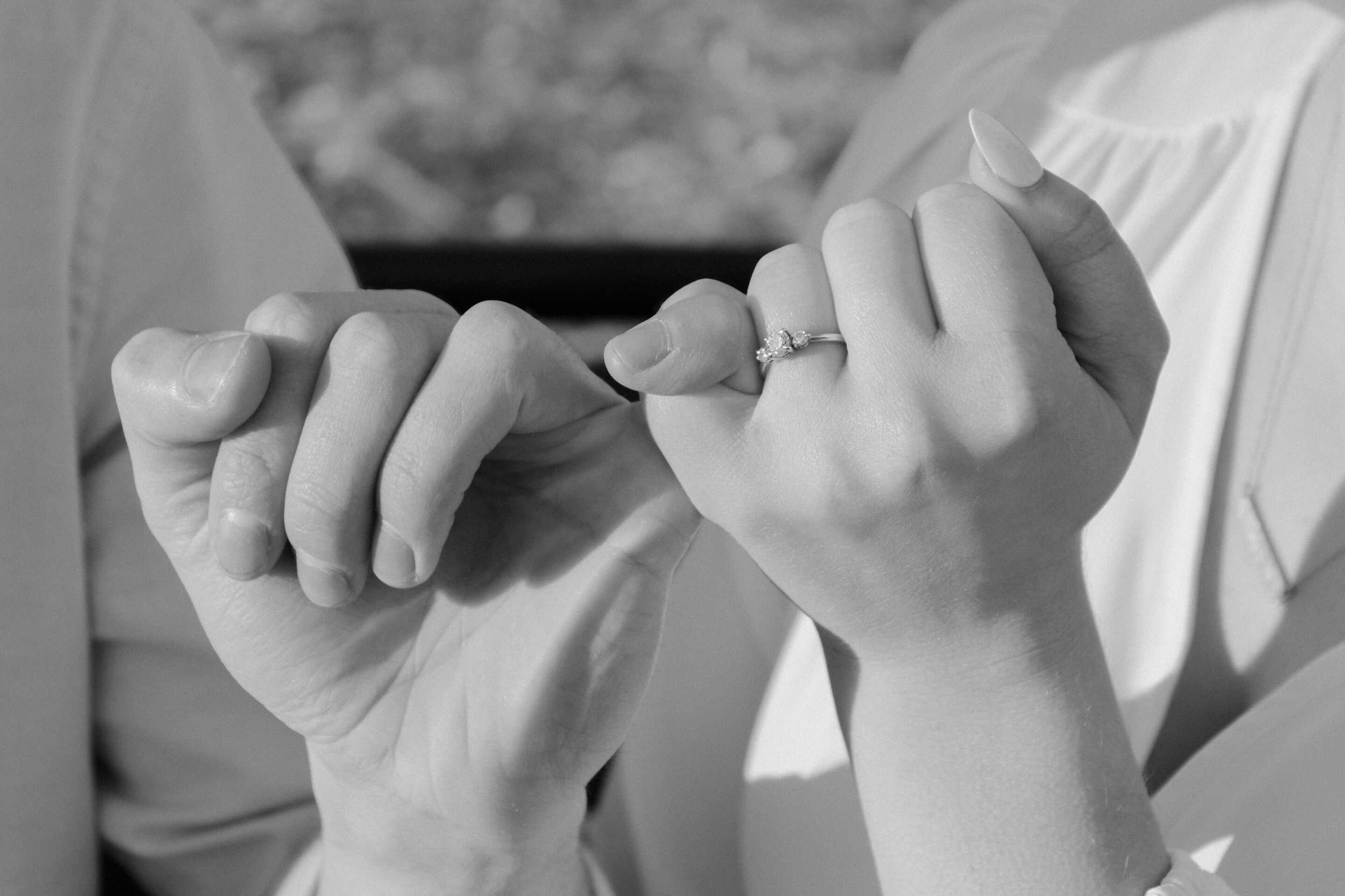 Aedynn & Brody Home Page Banner