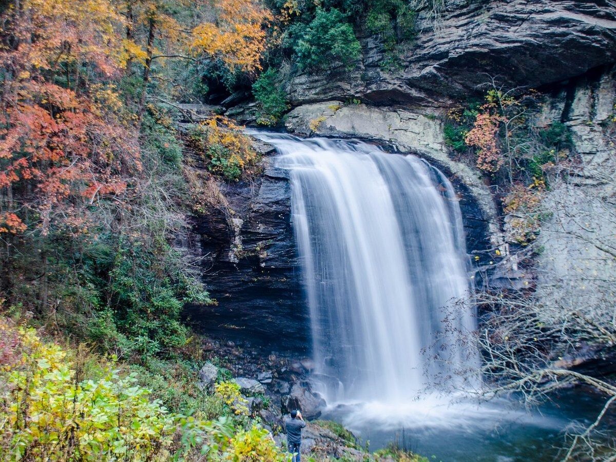 Picture of Looking Glass Falls