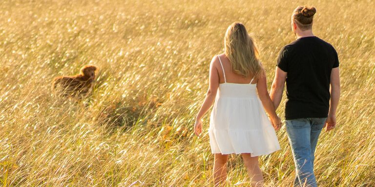 Mike & Sarah Home Page Banner