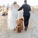 Couple Recessing with Pet Dog at Beach Ceremony