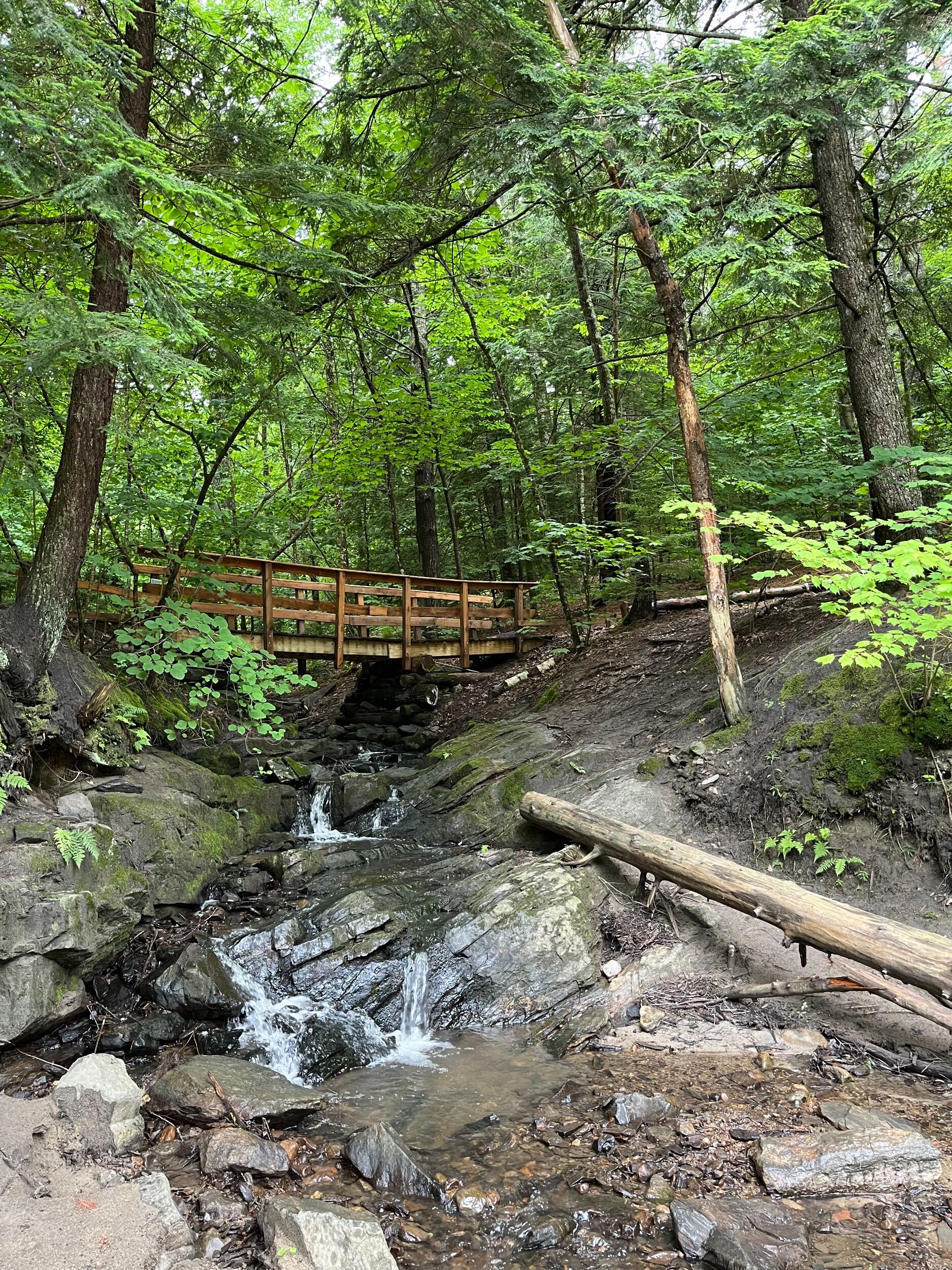 Picture of Presumpscot River Preserve