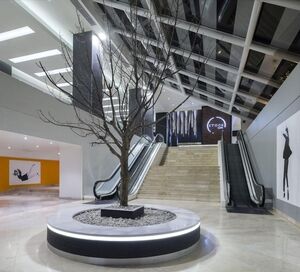 Picture of Real Inn Tijuana by Camino Real Hotels