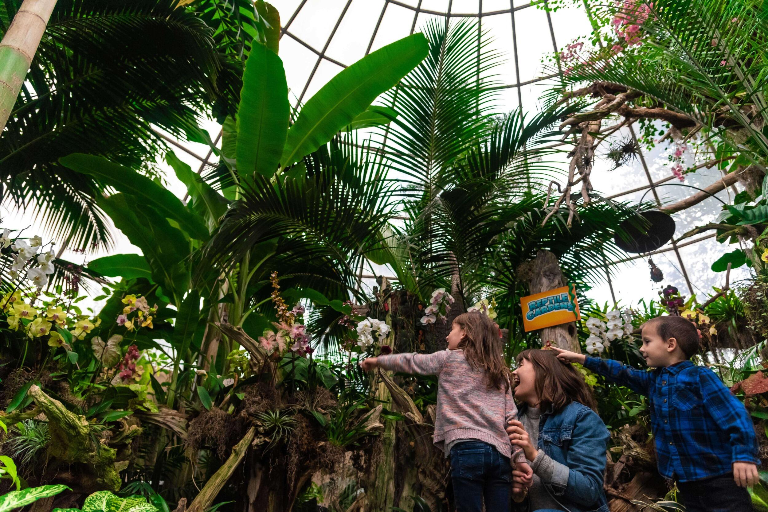 Picture of Reptile Gardens