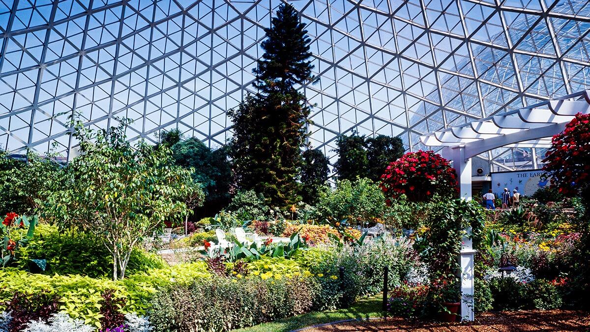 Picture of Mitchell Park Domes Horticulture Conservatory