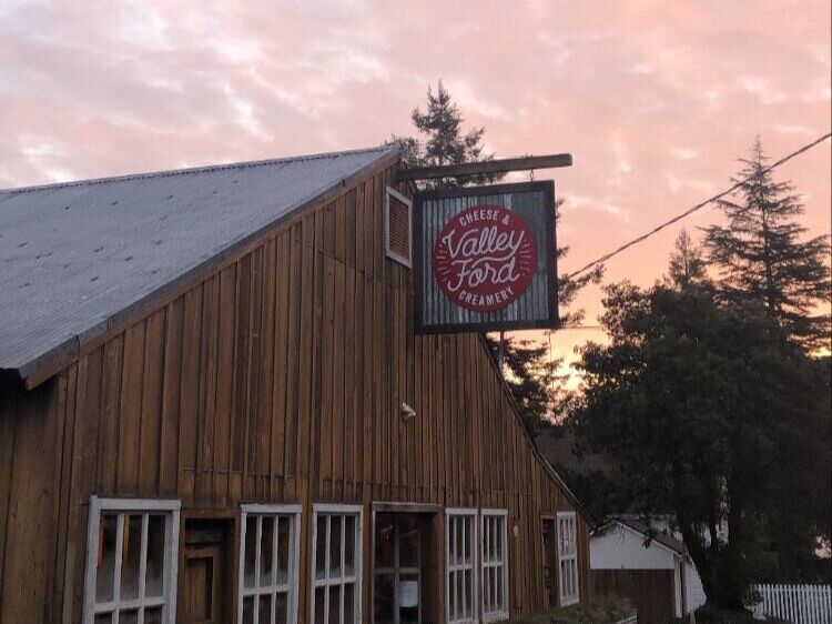 Picture of Valley Ford Cheese and Creamery