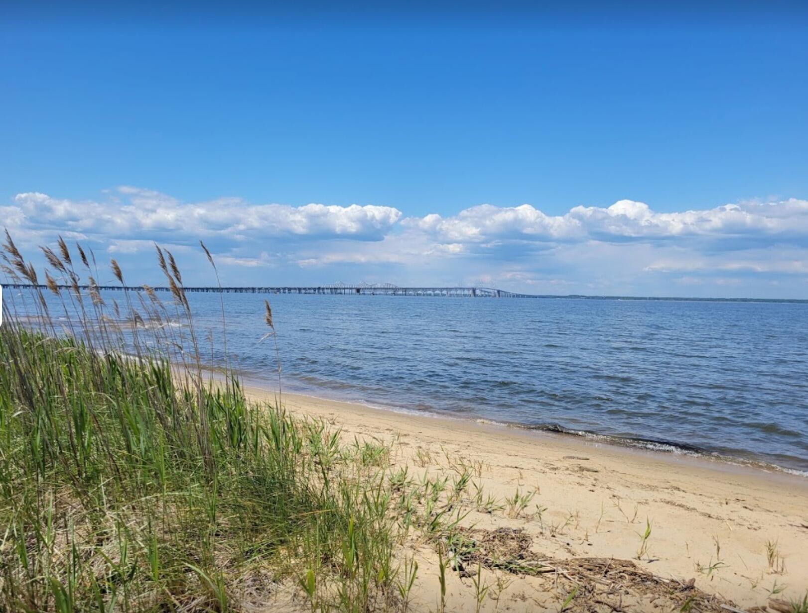 Picture of Terrapin Nature Park