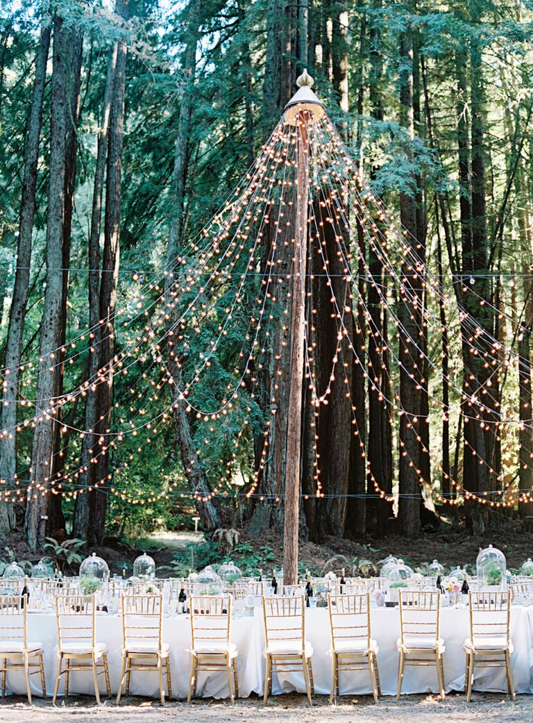 Canopy of string lights