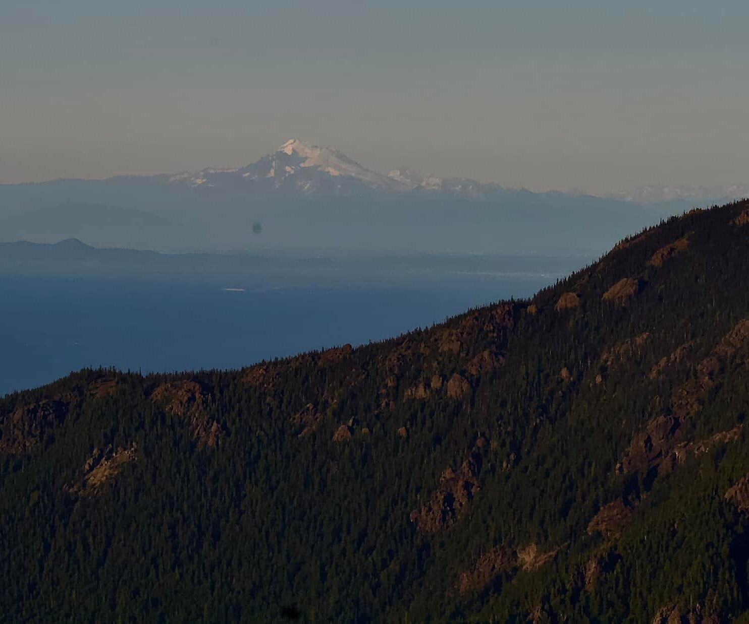 Picture of Hurricane Ridge
