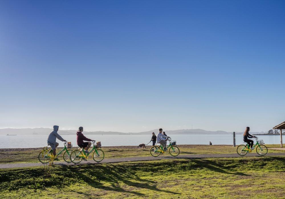Picture of Shoreline Park