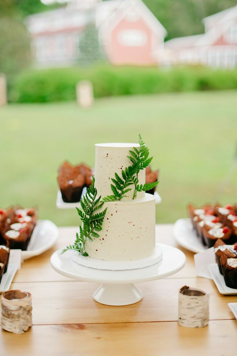 Two-tier wedding cake with fern decorations