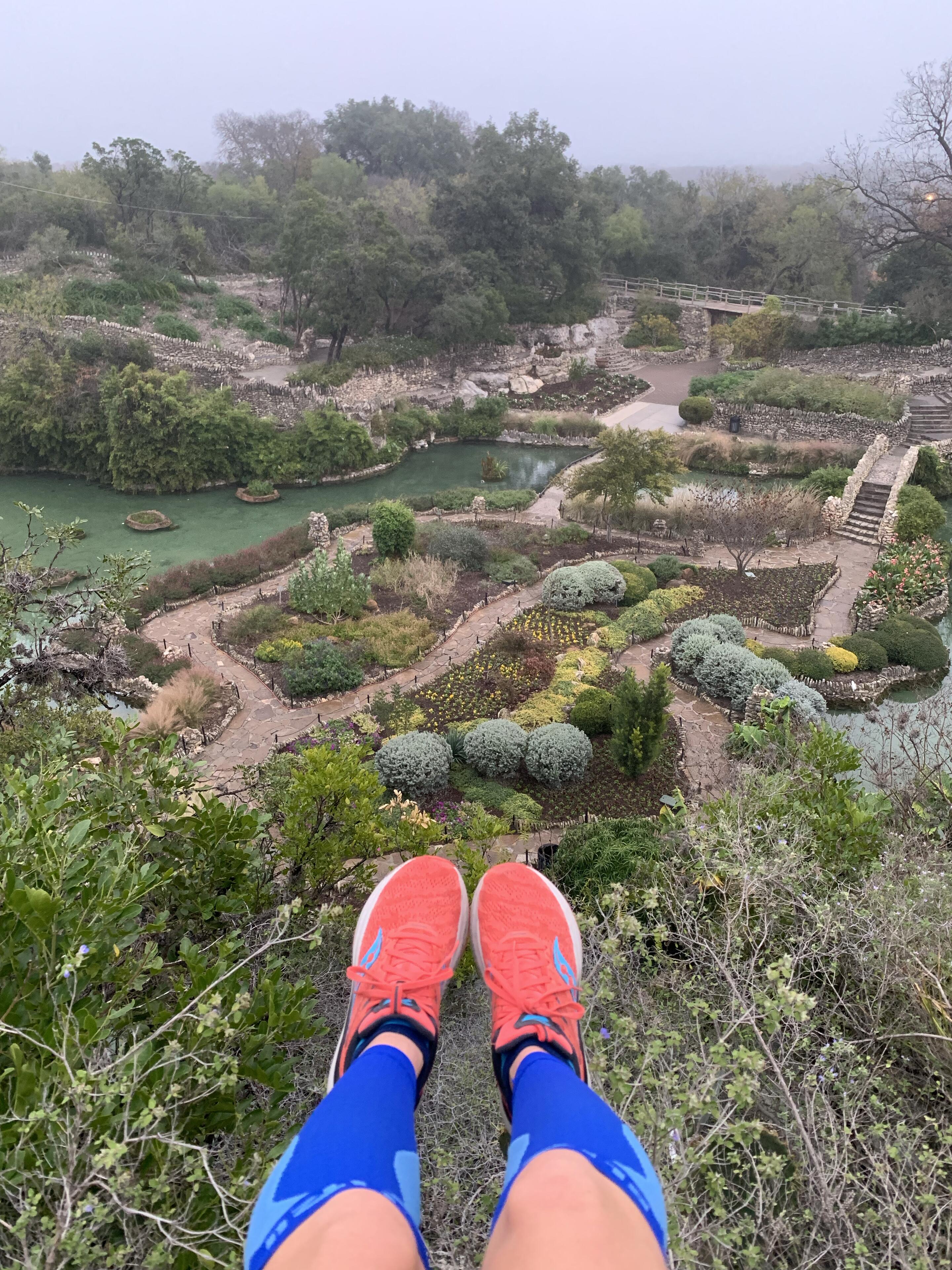 Picture of Japanese Tea Garden