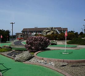 Picture of Mini Golf