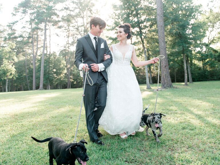 Bride and groom holding puppies on leash