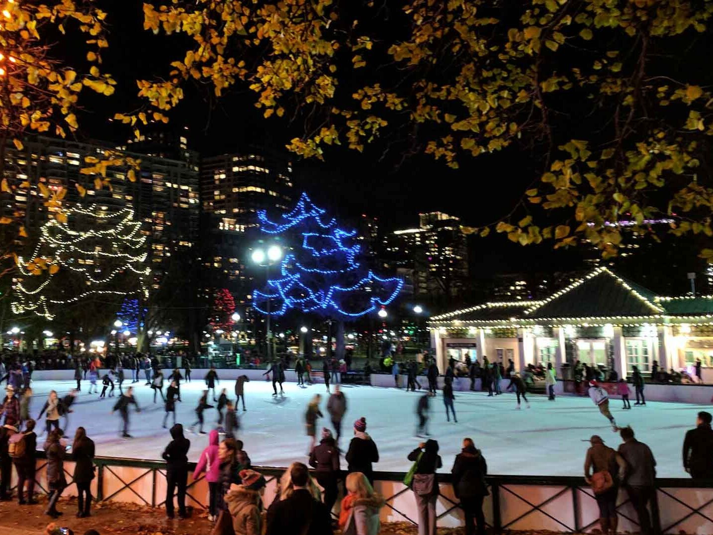 Picture of Boston Common Frog Pond