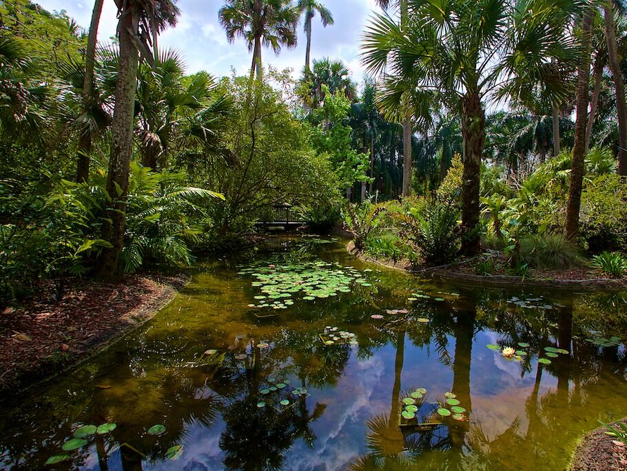 Picture of McKee Botanical Garden