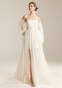 AW Bridal AW Lathan Wedding Dress A-Line Wedding Dress - thumbnail - 1