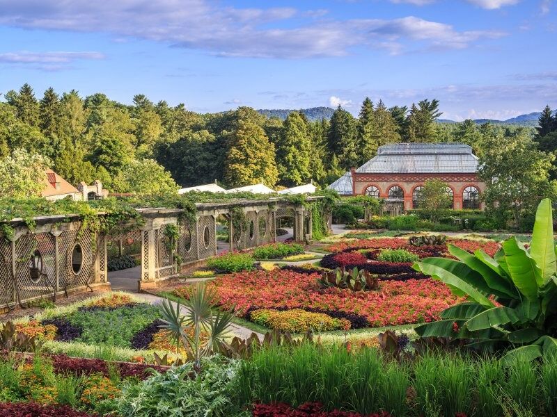Picture of Asheville Botanical Garden