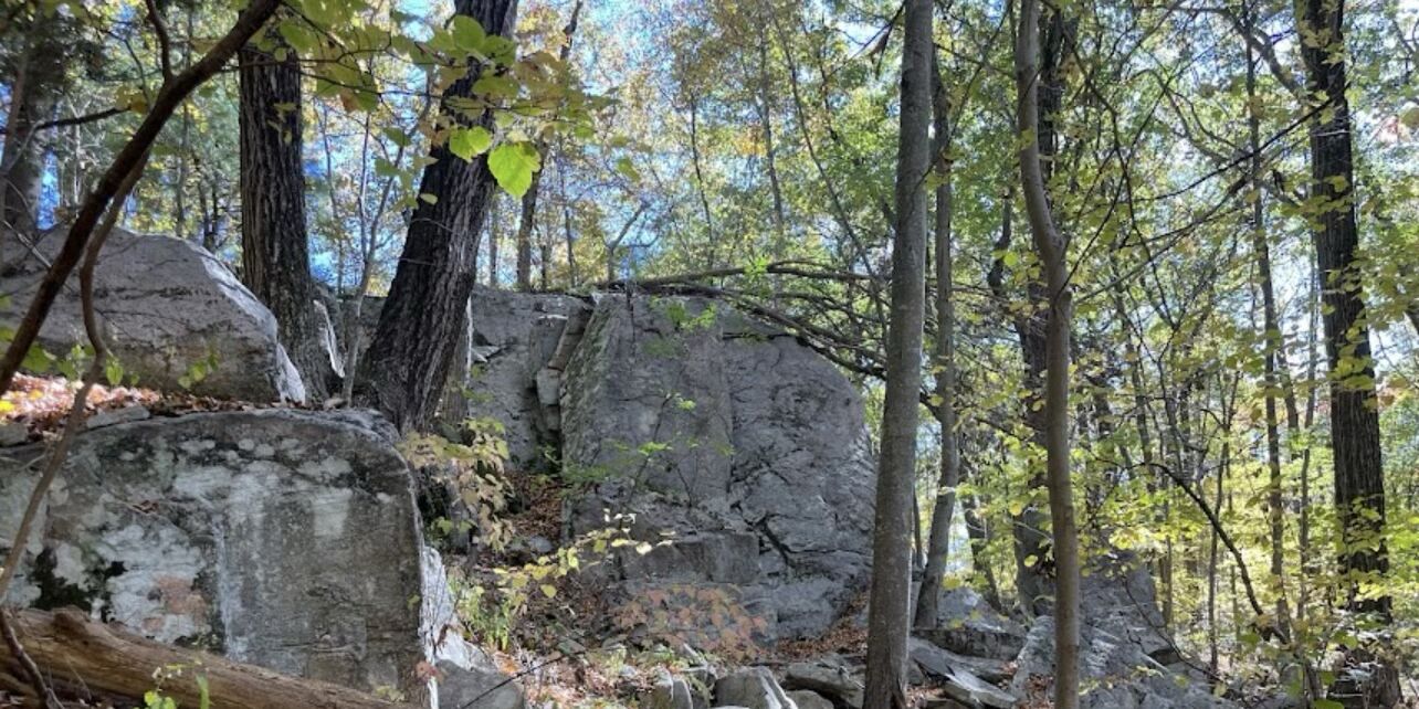 Picture of Whitestone Cliffs Trail