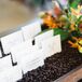 Escort Cards in Coffee Bean Display