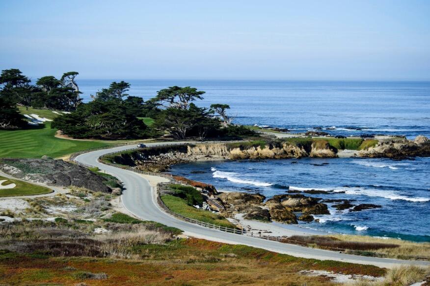 Picture of 17 Mile Dr California