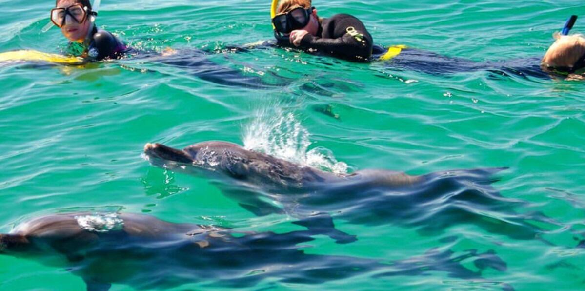 Picture of Perth Wildlife Encounters