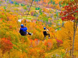 Picture of Zip Line through Mont Tremblant 