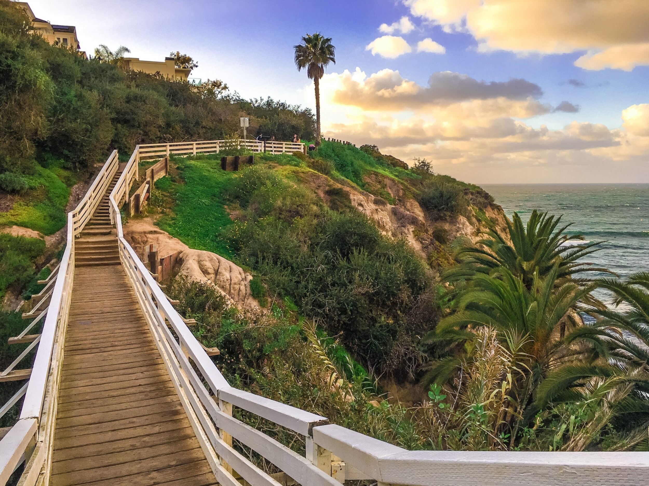 Picture of Coast Walk Trail