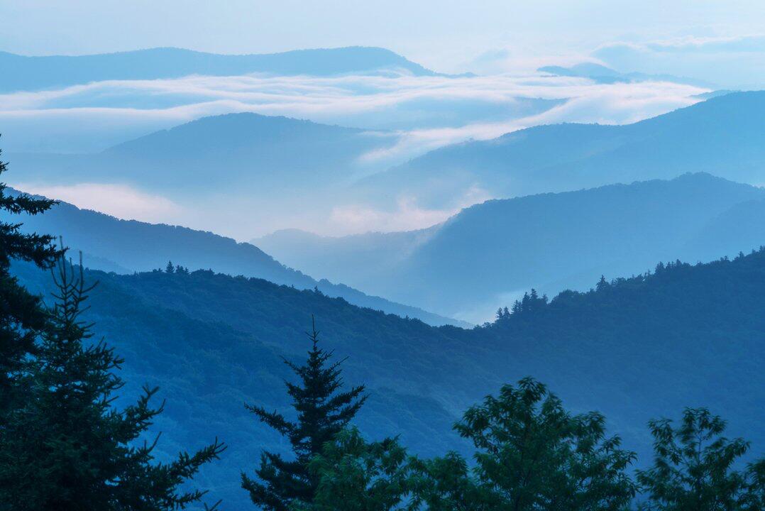 Picture of Drive on the Parkway