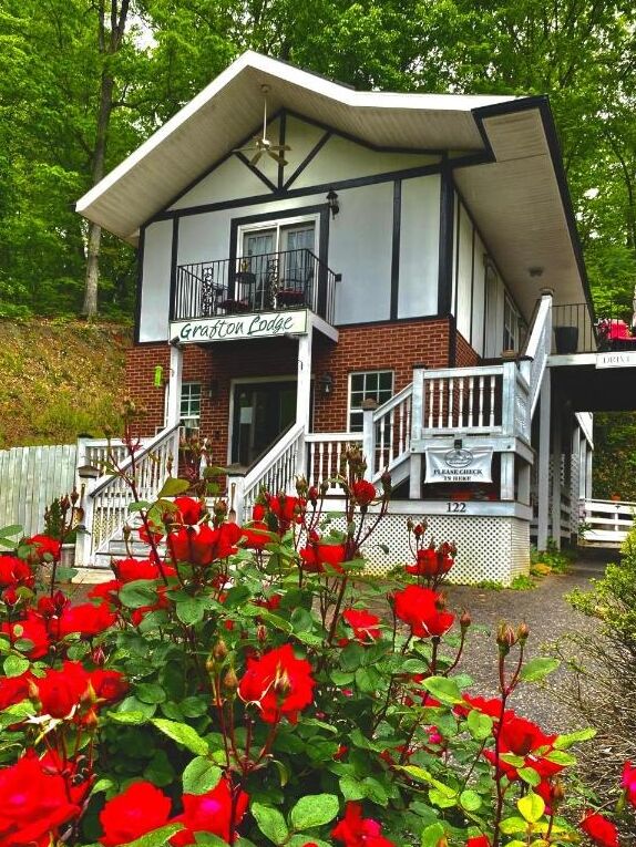 Picture of Grafton Lodge Bed & Breakfast
