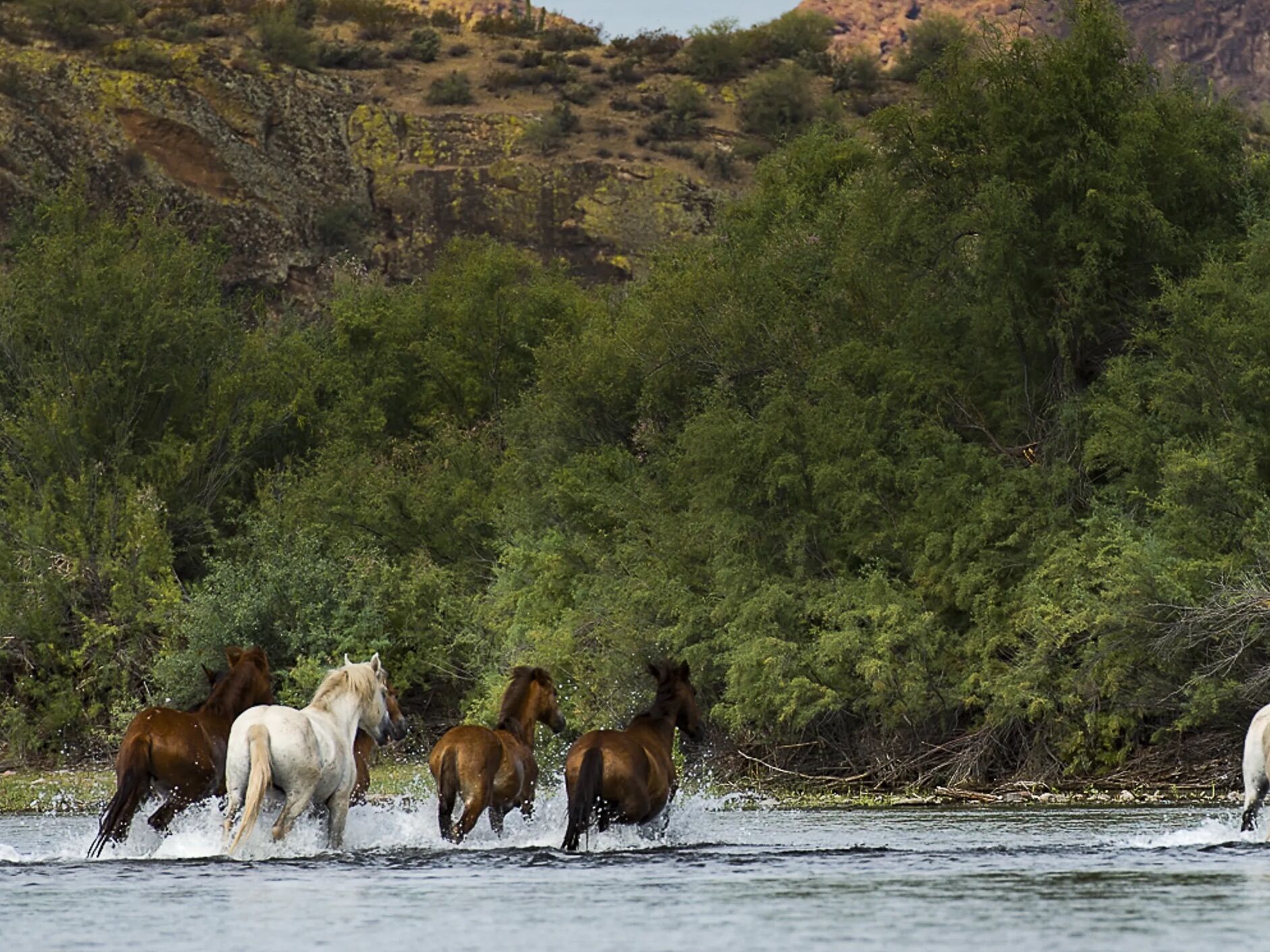 Picture of Salt River Tubing